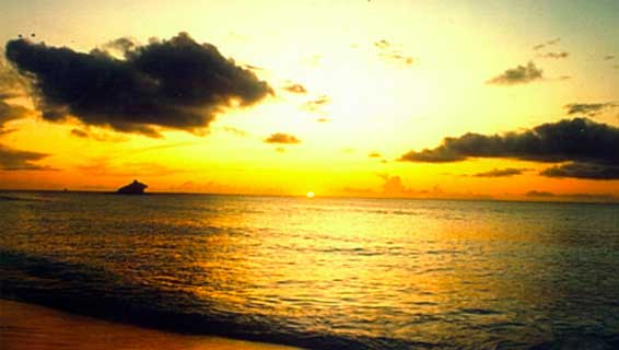 SUNWEAVER